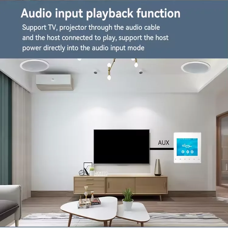 Home Bluetooth Wall Amplifier  - Audio Music System For Home บทวิจารณ์และราคา