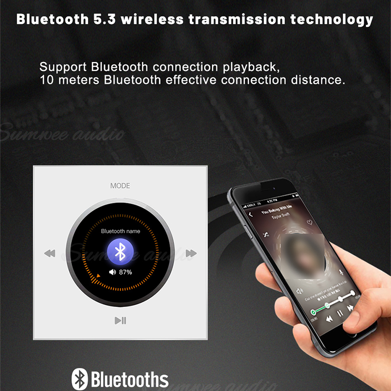 86 Type Home Audio In Wall Amp - Audio Music System For Home บทวิจารณ์และราคา