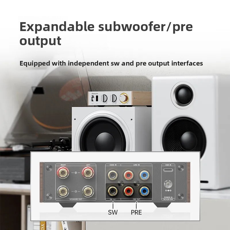 FiiO Horizon Level 1 High Powe - Audio Music System For Home บทวิจารณ์และราคา